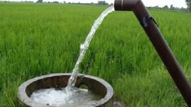 احقاق افزایش بهره وری آب در بخش کشاورزی