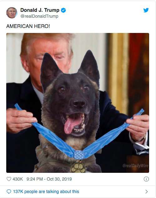 توییت تصویر ساختگی از سگ قهرمان حین دریافت مدال افتخار از ترامپ خبرساز شد
