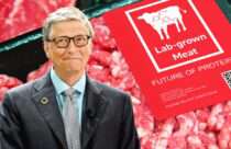 بیل گیتس: تمامی کشورهای ثروتمند باید به سوی استفاده ۱۰۰ درصدی از گوشت مصنوعی بروند