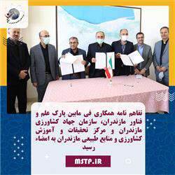 تفاهم نامه همکاری فی مابین پارک علم و فناور مازندران، سازمان جهاد کشاورزی مازندران و مرکز تحقیقات و آموزش کشاورزی و منابع طبیعی مازندران به امضاء رسید