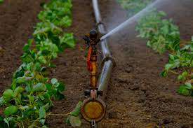 راههای کشاورزی با صرفه جویی در مصرف آب
     
      راههای کشاورزی با صرفه جویی در مصرف آب
     
      راههای کشاورزی با صرفه جویی در مصرف آب