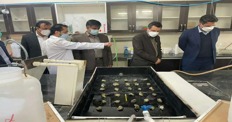 بازدید دکتر خیرالدین معاون فناوری  وزیر علوم  از تنها مرکز تولید صدف خوراکی خاورمیانه