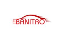 بانیترو بازار آنلاین لوازم خودرو