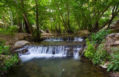 خنکی هوا در سواحل خزر و شمال غرب/بارش پراکنده در برخی شهرها