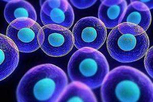 پیشرفت ایران در زمینه تحقیقات پوست و سلول‌های بنیادی بی‌نظیر است